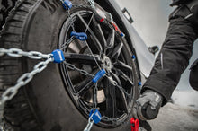 Load image into Gallery viewer, Pewag Servo Car