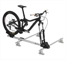 Load image into Gallery viewer, Inno INA392 Multi Fork Lock - Sun And Snow