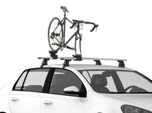 Load image into Gallery viewer, Yakima ForkChop - Sun And Snow