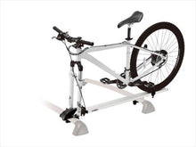 Load image into Gallery viewer, Inno INA391 Fork Lock III - Sun And Snow