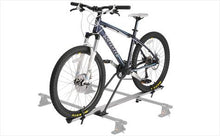 Load image into Gallery viewer, Inno IN385 Upright - Sun And Snow